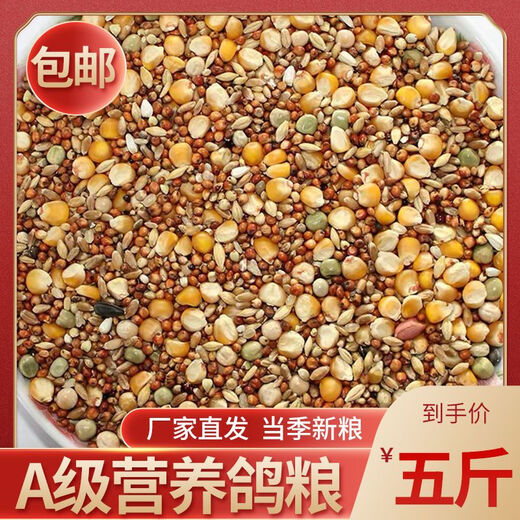 New pigeon food nutrition contains corn 10kg bird food homing pigeon white adult young pigeon ornamental pigeon food without corn pigeon food 3Jin Jin is equal to 0.5 kg