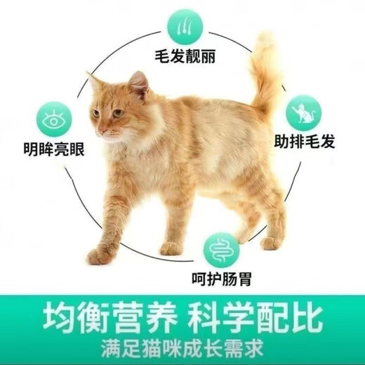 OIMG Disbert cat food freeze-dried sandwich meat buns full price beautiful hair intestinal management high protein gluten-free Disbert cat food 1.5kg (remote contact customer service)