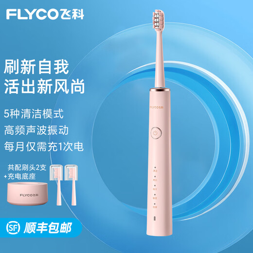 FLYCO Electric Toothbrush for Couples Adult Home Valentine's Day Gift for Men and Women Rechargeable Fully Automatic Sonic Vibration Soft-bristled Toothbrush FT7108 Zhaoxia Powder 2 Original Toothbrush Heads + Stand Charger