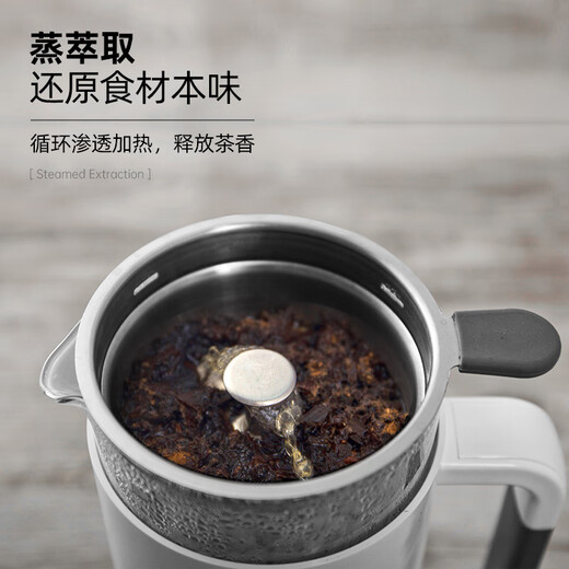 LIFE ELEMENT Health Pot Mini Tea Maker Tea Kettle Decoction Pot Electric Tea Kettle Kettle Electric Kettle Health Cup 0.6L Smart I13-H02