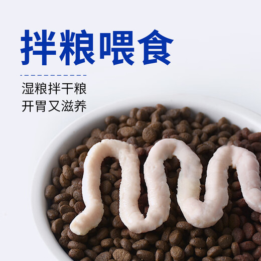 Ziiky Cat Strips Fresh Chicken + Cod Roe Added Prebiotics to Regulate Gastrointestinal Cat Snacks Chicken Flavor 6 Packs (15g*36 Sticks (Total 540g)