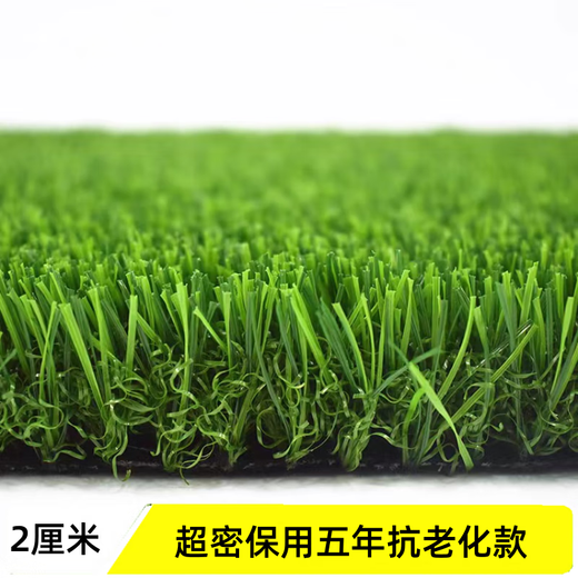 草坪仿真绿色地毯人工人造塑料假草皮楼顶地面铺垫户外阳台幼儿园 2厘米超密抗老化保用5年 2米宽*6米长 12平方米