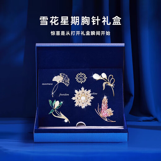 Jingshengya Zhou brooch women's high-end corsage suit suit accessories light luxury temperament women's birthday gift girls practical high-end brooch five-piece set gift box