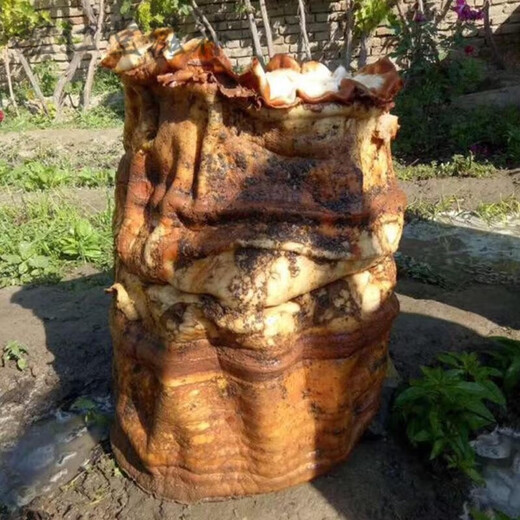 Whole wild Tai Sui soil Tai Sui meat Ganoderma whole soil Tai Sui with skin whole Tai Sui 2300g whole Tai Sui yellow