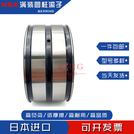 NSK Rouleau cylindrique à charge complète SL04 / RS5009 5010 5011 5012 5013 NR PP R RS5012NR / SL045012PP d'autres