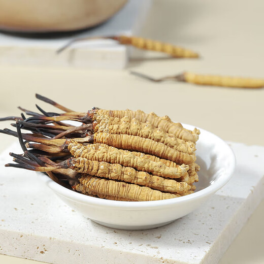 Yuanjiang Grass Cordyceps Sinensis Haute à altitude Nouveau boîte-cadeau séchée Cordyceps pour les produits secs, livrés aux dirigeants et aux aînés 4 bâtons / g 5 grammes [boîte-cadeau à l'entouanée]