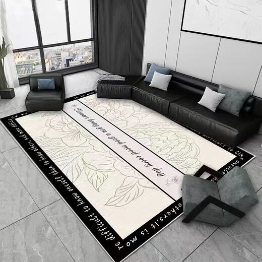 Xinlin ins style carpet living room carpet coffee table carpet room carpet bedroom floor mat household stain-resistant sofa high-end light luxury Nordic 03 120*160 cm