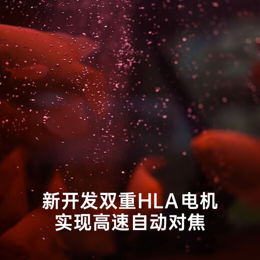 SIGMA Art 50mm F1.2 DG DN full-frame mirrorless large-aperture fixed-focus lens portrait (Sony E-mount)