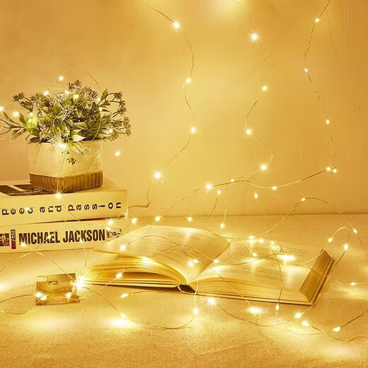 Night Light Copper Wire Lamp Portable Lamp Battery Small Lamp Computer Keyboard Table Lamp Bedside Lamp Camping Lamp 2 Pack Warm White Atmosphere-1.0 Meter