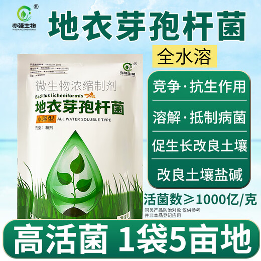 亦强生物（YIQIANGSHENGWU）水溶型地衣芽孢杆菌改良土壤降低作物危害促进作物生长500克/包 500克/包