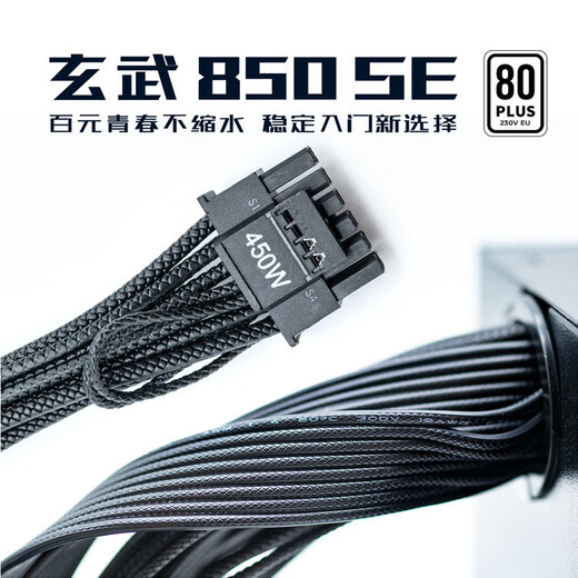 驿晨宇玄武850K+额定850W可持续1000W峰值1400W双金牌认证全模组电源玄武650SE 550V4额定600W电脑电源 【便宜大碗】玄武850SE黑850w峰值1200w 官方标配线材齐全【支持个人送保】
