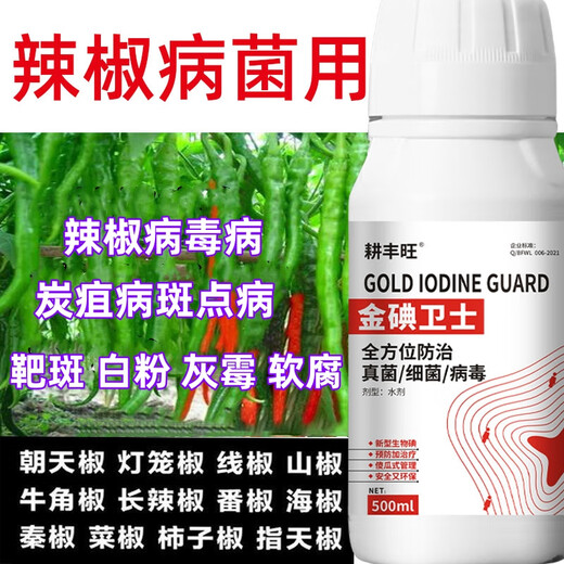 Gengfengwang pepper special agent, pepper disease medicine, gray mold early and late blight, wilt, downy mildew virus disease, pepper medicine 500ml (30 acres)
