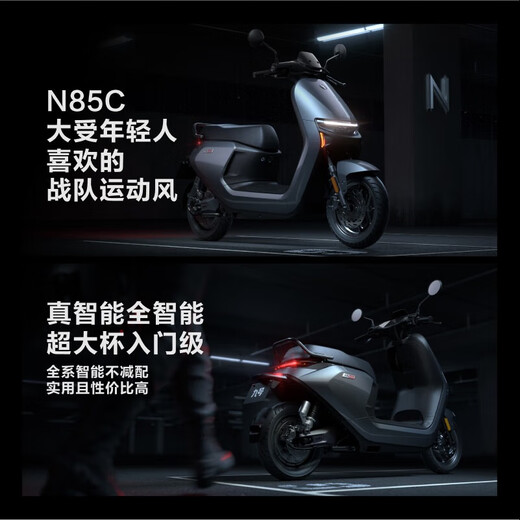 Ninebot electric motorcycle N85C Ninebot electric battery scooter adult small lead-acid electric motorcycle Pick up in store Color can be selected at the store