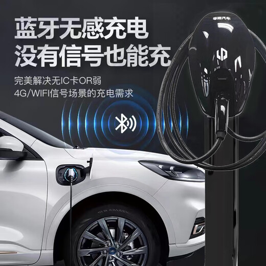 Leap run charging pile gun new energy 7kw household original factory suitable for C11T03C01C10 AC 220V Leap run original factory-7kw single machine