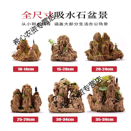 Xushansi water-absorbing stone rockery bonsai original stone water-absorbing stone micro-landscape landscaping strange stone ornamental stone matching decoration 10-14cm water-absorbing stone does not include pots and comes with grass seeds and stones