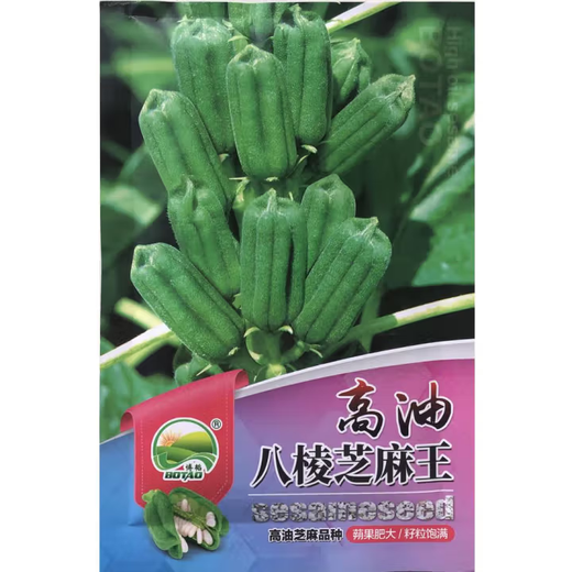 Black sesame seed oil extraction Academy of Agricultural Sciences hybrid high oil stable yield short stem eight-edge white sesame seed base special seed Henan black sesame seed 100 original 20g 1 bag
