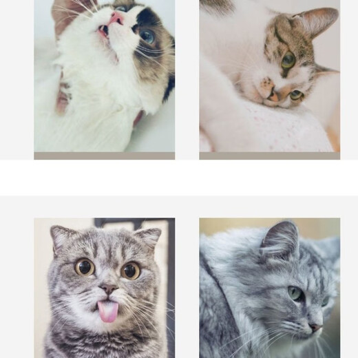 Cat gloves, cat comb to remove floating hair, dog hair comb, cat supplies, pet shedding, cat hair cleaner, hair removal, pink model, 1 left hand