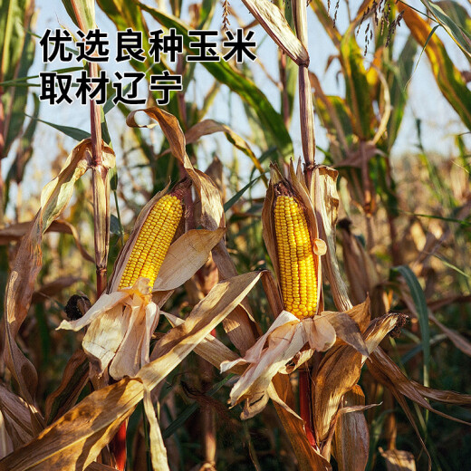 Zhanyi Baking Ingredients Corn Starch 300g Thickening Raw Pink Tender Meat Smooth Meat Soup Eagle Corn Flour