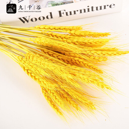 Nine thousand grains of wheat ears dried flowers and barley simulated bouquets for home living room pastoral decoration fake flower props gold 200 pieces 4404
