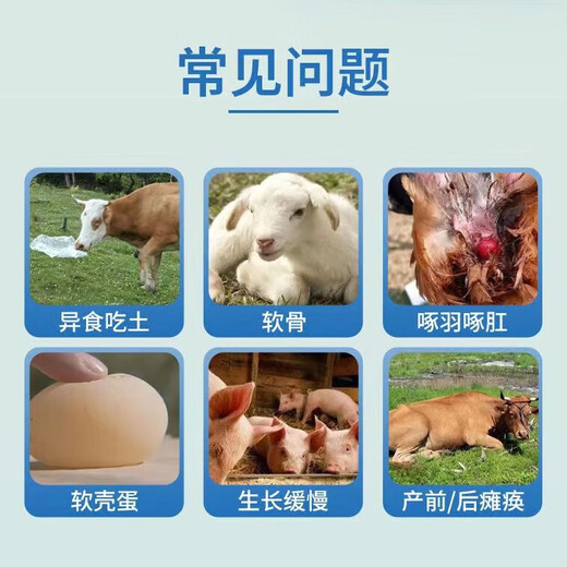 Xiongmu multi-potent calcium for veterinary use, special calcium supplement for poultry, pigs, cattle and sheep, high calcium to promote growth, nutrition and bone strengthening, feed additive multi-potent calcium 3 bags