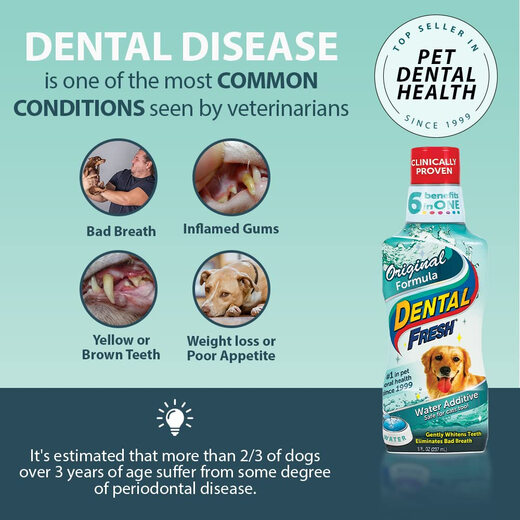 Dental Fresh Pet Teeth Cleanser Mouthwash Removes Bad Breath and Tartar for Cats and Dogs 946ml 32 Fl.Oz (approximately 946 ml) x 1 piece