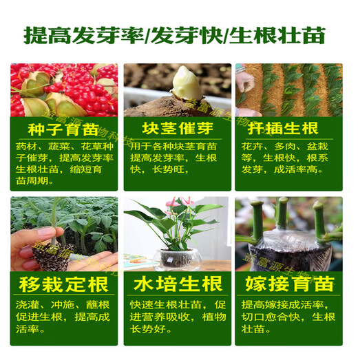 Yifuyuan germination rooting agent powder Chonglou seed germination agent Bletilla striata and Huangjing seedling nutrient liquid medicine rapid teething germination and rooting liquid (1 bottle 1000ml)