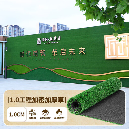 Qingya Artificial Turf Fake Turf Plastic Outdoor Decoration Green Carpet Mat 10mm Engineering Encrypted Thickened Grass