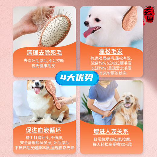 Black Bird pet handle comb cat and dog grooming brush special comb hair protection artifact massage air cushion needle comb cat comb small small/puppy dog
