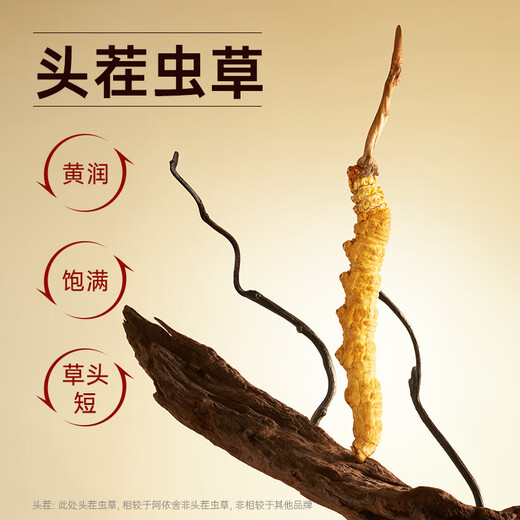 阿依舍冬虫夏草特大号断草20克自食佳选高性价比家庭滋补父亲节礼物