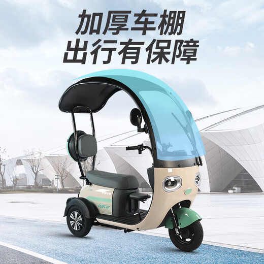Flying Pigeon electric tricycle, small household scooter for women to pick up and drop off children, new electric tricycle with built-in canopy, 600W 48V23A black gold + 80 miles of battery life