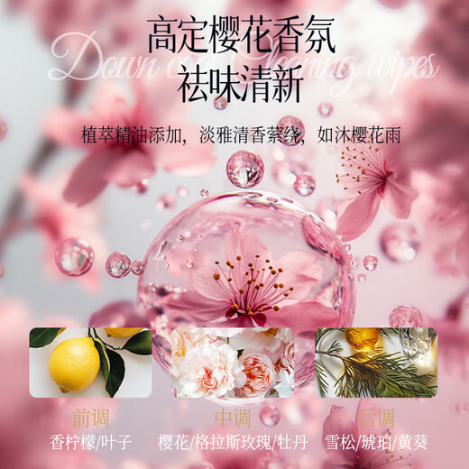 Plant protection multifunctional down jacket cleaning portable wet wipes easy decontamination wet wipes no-wash down jacket early adopter pack 1 pack*10 pieces/pack