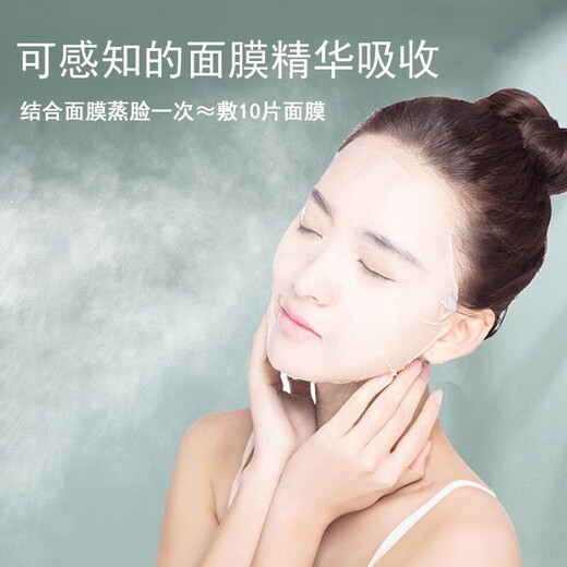 Golden Rice Facial Steamer Hot and Cold Dual Spray Nano Spray Beauty Instrument Hydrating Cold Spray Humidifying Facial Steamer Facial Steamer KD169A White Hot and Cold