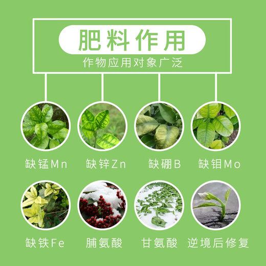 BASF Wangqiu Amino Acid Foliar Fertilizer Preserves Flowers and Fruits and Promotes Growth Contains Amino Acid Water-Soluble Fertilizer Universal Organic Fertilizer 1 Liter