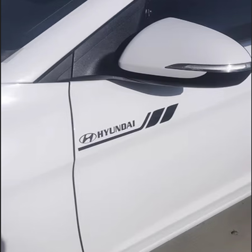 REACHNOW new car body decoration stickers, door personality, sporty car stickers, modified scratch blocking car stickers, door pull flowers, Mercedes Benz, black pair, 30*4 cm