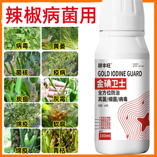 Gengfengwang pepper special agent, pepper disease medicine, gray mold early and late blight, wilt, downy mildew virus disease, pepper medicine 500ml (30 acres)