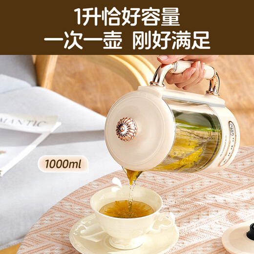 Chigo Health Pot Tea Maker Multifunctional Electric Kettle Office Household Glass Black Flower Tea Frying Chinese Medicinal Pot Constant Temperature Mini Small Health Kettle Standard Model 304 Stainless Steel-Smart Insulation 1L