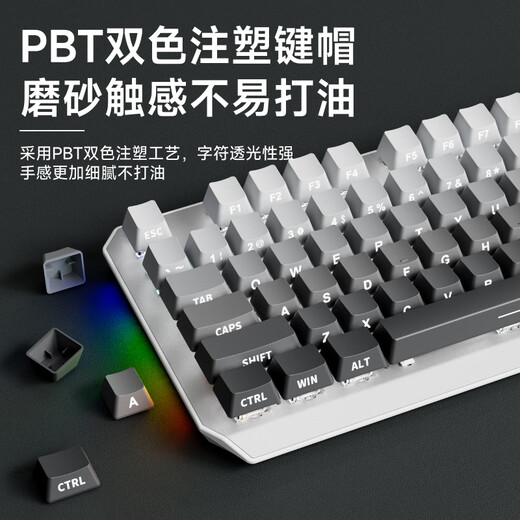 前行者TK870无线机械键盘鼠标套装蓝牙三模高颜值黑莓侧刻104键游戏电竞台式笔记本电脑办公有线通用外设 微尘侧刻-104键【无线蓝牙三模版】白光 青轴（清脆手感）