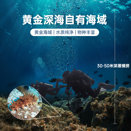 Gongyi Dalian ready-to-eat sea cucumber 1Jin Jin is equal to 0.5kg 9-15 pieces, solid content exceeds 75%, home decoration, bottom-sown sea cucumber, no need to soak