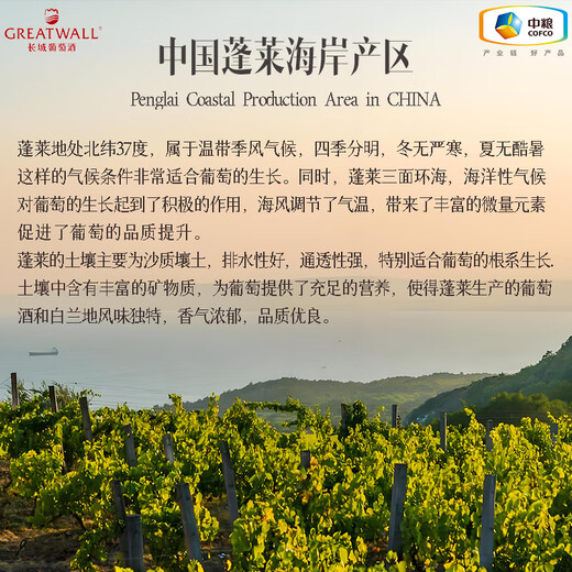 长城君雅XO白兰地 传统干邑壶式蒸馏法酿造 中粮高端洋酒礼盒 【鉴赏家XO】 700mL 1瓶 礼盒装