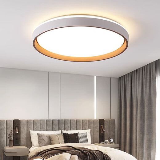 SUOYADA索亚达新款卧室主灯极简led吸顶灯简约现代客厅灯房间餐厅书房2024新款 百慧灰圆50cm白光48w(10-18平)