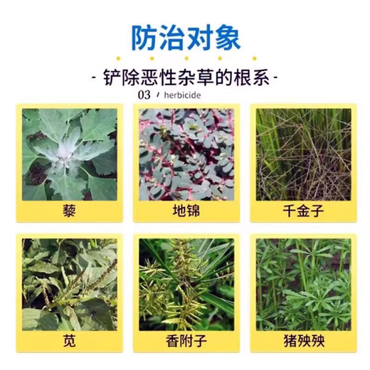 Precise glufosinate ammonium salt high concentration orchard wasteland root rot herbicide cowgrass small flypong garden pesticide 5kg (1 barrel)