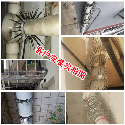 Zhongji Wanxing stainless steel anti-cat, anti-rat, anti-rat, anti-rat barb, anti-climb, anti-rat sewer pipe, anti-rat net barb nail, regular 3.2 cm thorn length, one meter long