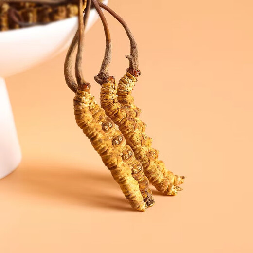 [Gute Nahrungszertifizierung] Yongguangtang Cordyceps sinensis tibetaner Nagqu Cordyceps 2 Wurzeln/G New Hay Cordyceps Geschenke und nahrhafte Produkte Geschenke für Älteste und Eltern 100G [50g*2 Boxen] Geschenkbox-2-Wurzeln/G.