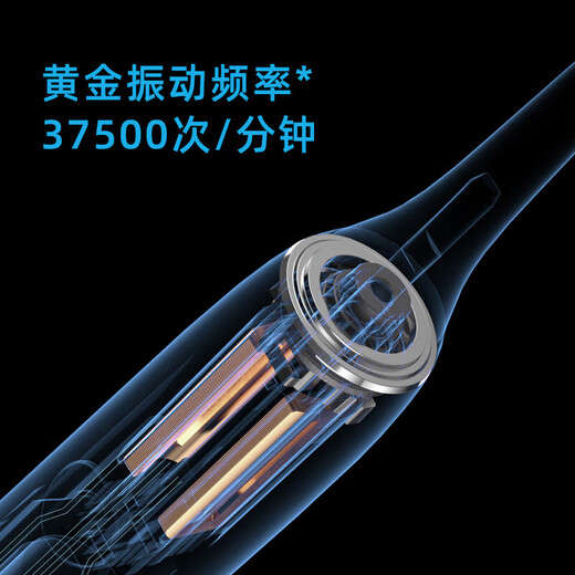 FLYCO electric toothbrush for adults, portable for boyfriend and girlfriend, couple, wedding, birthday, Valentine's Day, New Year's party gift, soft-bristled brush head, intelligent, fully automatic sonic vibration, wireless rechargeable, ice crystal blue, Symphony series, with 2 brush heads