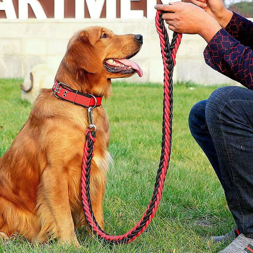 PPO large dog chain big dog leash with dog leash dog collar Alaskan German Shepherd Golden Retriever dog leash leash + snap collar red and black S size 8-15Jin Jin equals 0.5 kg Use