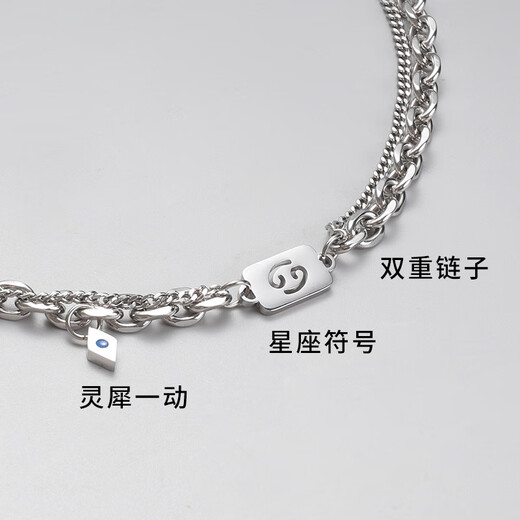 BJYL Twelve Constellation Necklace Men's Trendy Versatile High-end Boys' Clavicle Chain Niche Fashion Accessories Trendy Brand Pendant Order Remarks Constellation