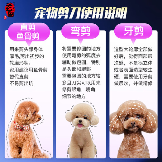 Xuanniao Teddy Bichon Beauty Scissors Pet Scissors Set Dog Shearing and Trimming Scissors Recommended by beauticians Hot choice 3 pieces 6.5 curved + 6.5 teeth + 6.5 fish bone