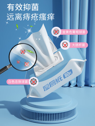 Shantou Lincun butt wiping wet wipes men's wet toilet paper family affordable butt wiping special toilet flushable biodegradable sanitary 10 packs 1 pack