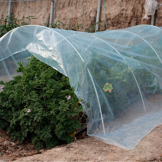 Beishu insect-proof net, vegetable growing net cover, vegetable field arch shed protective net, vegetable shed plastic film and bracket insulation film to prevent cold, grow vegetables to prevent cold and thickened arch shed film, 2 meters wide * 5 meters long + 10 support poles