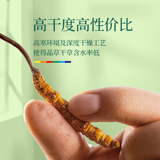 北京同仁堂【双十一活动入口】冬虫夏草虫草干货冬虫草夏虫草高 虫草10根